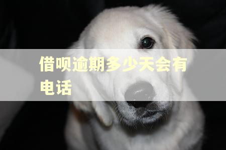 借呗逾期多少天会有电话