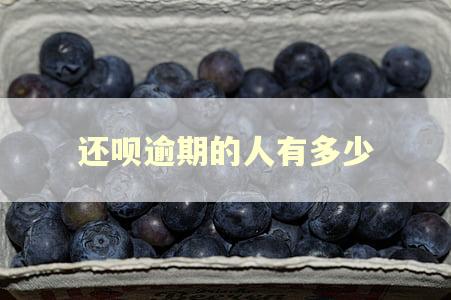 还呗逾期的人有多少