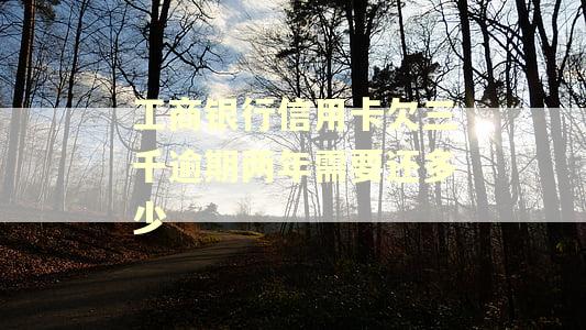 工商银行信用卡欠三千逾期两年需要还多少