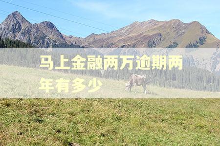 马上金融两万逾期两年有多少