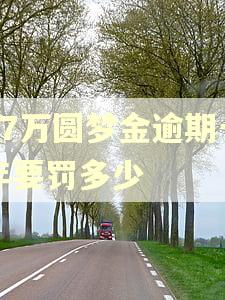 17万圆梦金逾期一年要罚多少