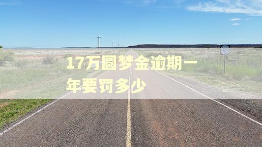 17万圆梦金逾期一年要罚多少