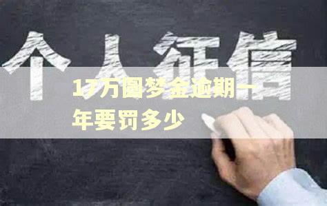 17万圆梦金逾期一年要罚多少