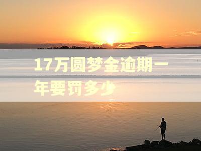 17万圆梦金逾期一年要罚多少