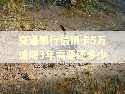 交通银行信用卡5万逾期3年需要还多少