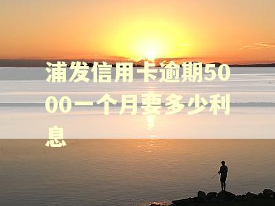 浦发信用卡逾期5000一个月要多少利息