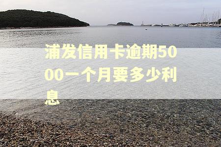 浦发信用卡逾期5000一个月要多少利息