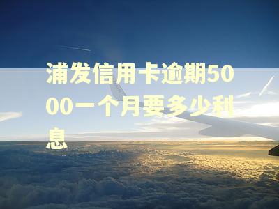 浦发信用卡逾期5000一个月要多少利息