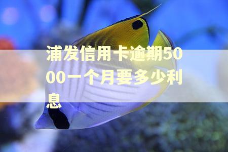 浦发信用卡逾期5000一个月要多少利息