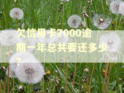 欠信用卡7000逾期一年总共要还多少?