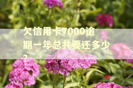 欠信用卡7000逾期一年总共要还多少?