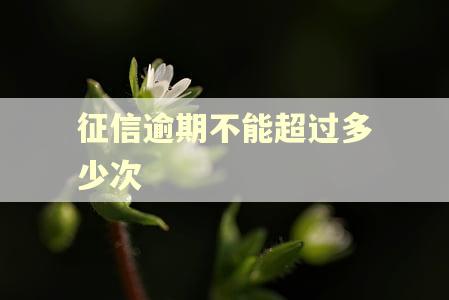 征信逾期不能超过多少次
