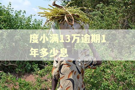 度小满13万逾期1年多少息
