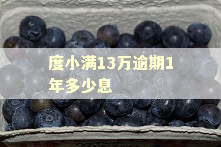 度小满13万逾期1年多少息