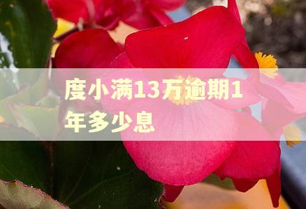 度小满13万逾期1年多少息 度小满13万逾期1年多少息