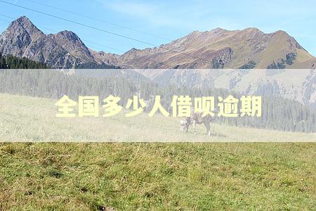 全国多少人借呗逾期
