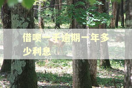 借呗一千逾期一年多少利息