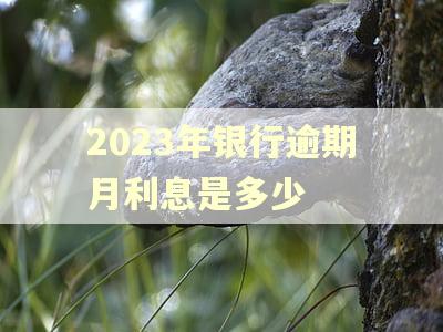 2023年银行逾期月利息是多少