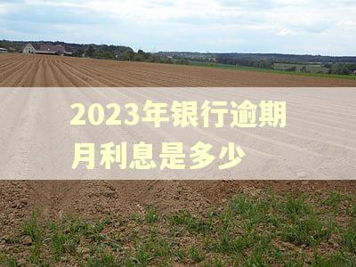 2023年银行逾期月利息是多少