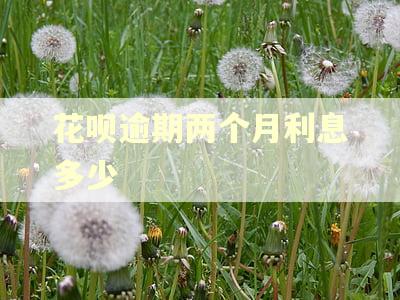花呗逾期两个月利息多少