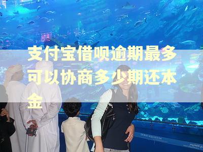 支付宝借呗逾期最多可以协商多少期还本金