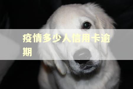 疫情多少人信用卡逾期