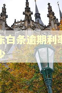 京东白条逾期利率是多少
