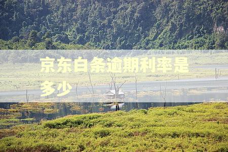 京东白条逾期利率是多少