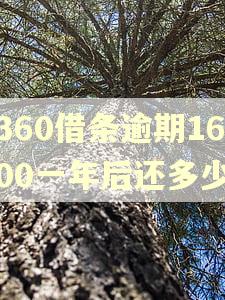 360借条逾期1600一年后还多少