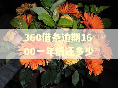 360借条逾期1600一年后还多少