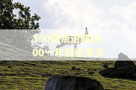 360借条逾期1600一年后还多少