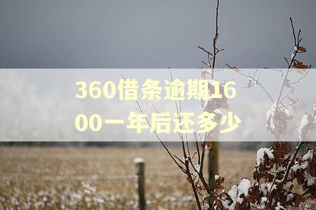 360借条逾期1600一年后还多少 360借条逾期1600一年后还多少