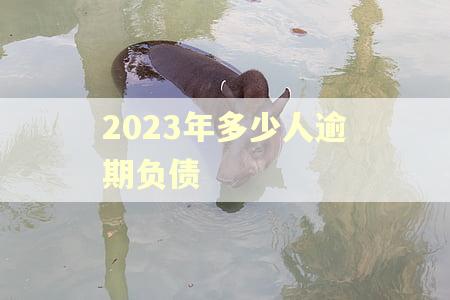 2023年多少人逾期负债