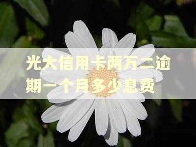 光大信用卡两万二逾期一个月多少息费