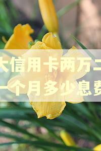 光大信用卡两万二逾期一个月多少息费