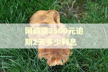 网商贷2500元逾期2天多少利息