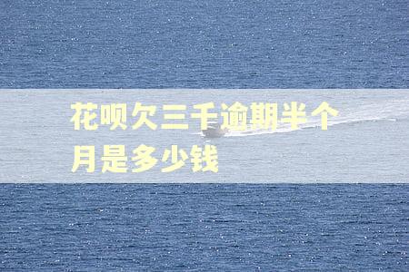 花呗欠三千逾期半个月是多少钱