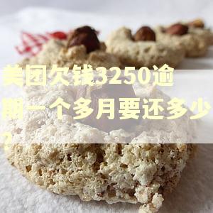 美团欠钱3250逾期一个多月要还多少?