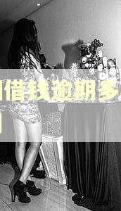 美团借钱逾期多少天上门