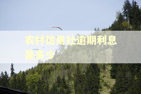农村信用社逾期利息是多少