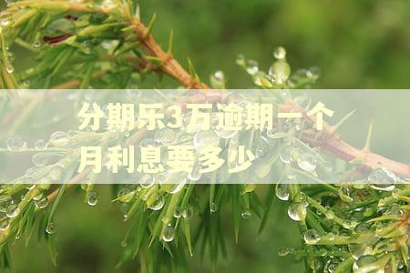 分期乐3万逾期一个月利息要多少