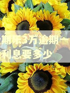 分期乐3万逾期一个月利息要多少