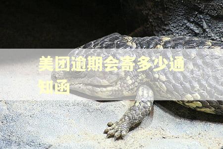 美团逾期会寄多少通知函 美团逾期会寄多少通知函