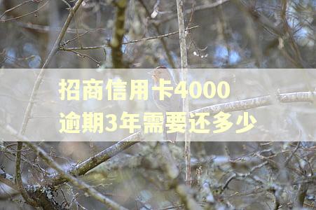 招商信用卡4000逾期3年需要还多少
