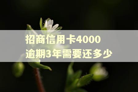 招商信用卡4000逾期3年需要还多少 招商信用卡4000逾期3年需要还多少