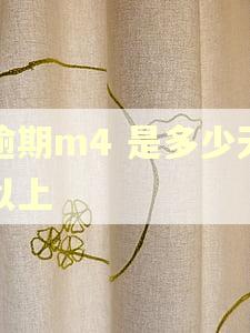 逾期m4 是多少天以上