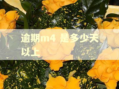 逾期m4 是多少天以上