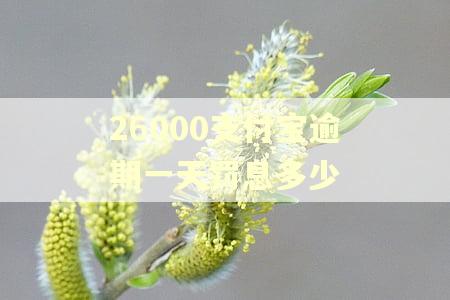 26000支付宝逾期一天罚息多少