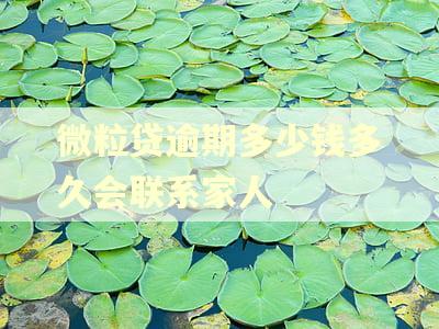 微粒贷逾期多少钱多久会联系家人