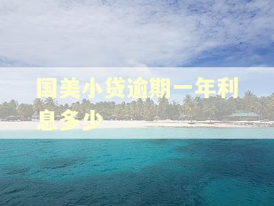 国美小贷逾期一年利息多少
